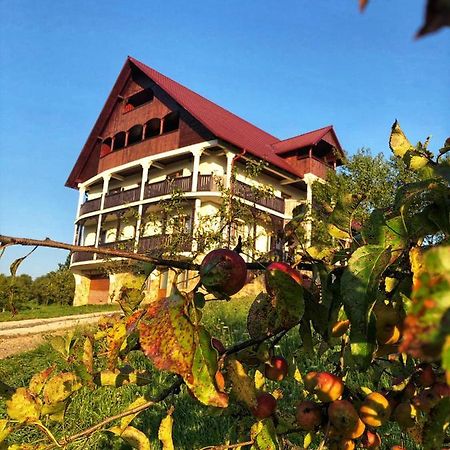 Conacul Lupilor Hotel Satu Sugatag ภายนอก รูปภาพ