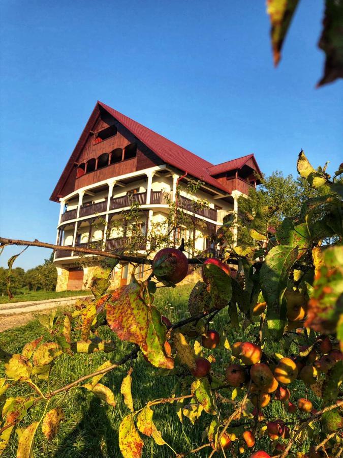 Conacul Lupilor Hotel Satu Sugatag ภายนอก รูปภาพ